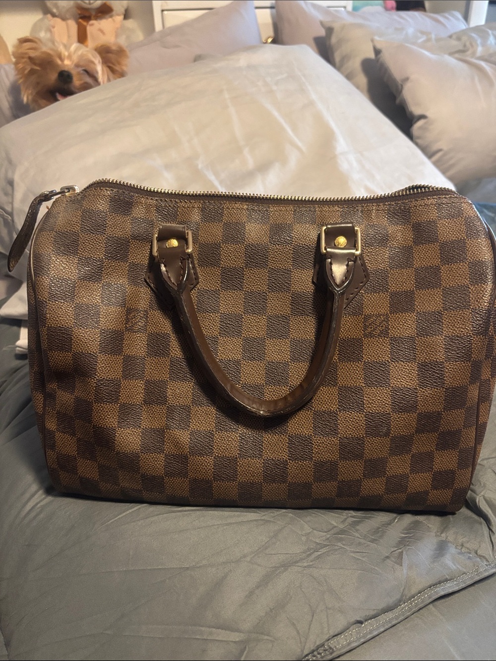 Brown Checkered Dome Satchel Handbag